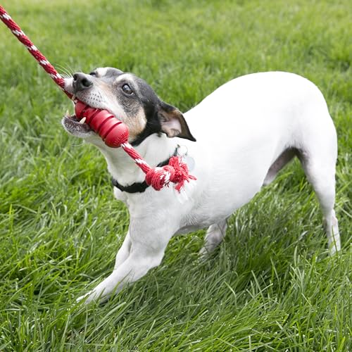 KONG Dental with Rope- for Dog Dental Care - Stuffable Chew Toy - Provides Chewing Outlet & Satisfies Instinctual Needs - Cleans Teeth & Gums - Made with Durable Natural Rubber - for Small Dogs - size: Small (Pack of 1)