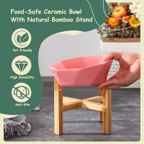Green with Stand Ceramic Tilted Elevated Raised Pet Bowl with Bamboo Stand for Cats and Dogs No Spill Pet Food Water Feeder - color: Green with stand