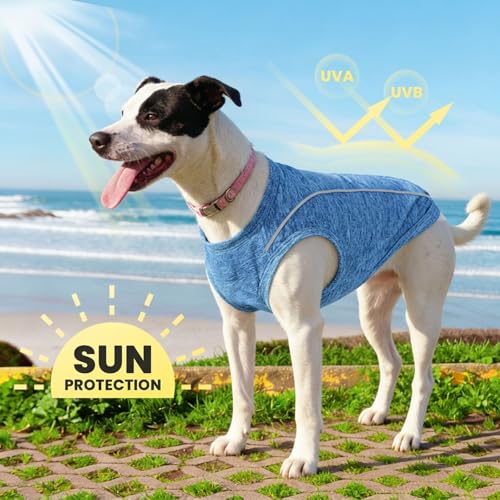 PETCARE Sun Protection Dog Shirts for Small Dogs Quick Dry Soft Stretchy Dog T-Shirts with Reflective Label Tank Top Sleeveless Vest Pet Clothes, Athletic Fabric, Navy, XS (Chest 13" Length 9.8") - color: Navy, size: XS ( Suggest 2-5 lbs)