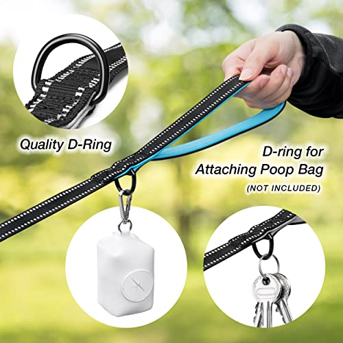 PHOEPET 5 Feet Heavy Duty Dog Leash - Reflective - Soft Padded Handle Traffic Grip for Extra Control (L,Blue) - color: Blue