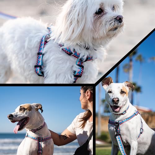 Wolfgang Heavy Duty Martingale Dog Collar with Quick Release Nylon Buckle for Walking & Training, BuenaOnda Print, Medium - color: BuenaOnda Print, size: Medium (1 Inch x 14-18 Inch)