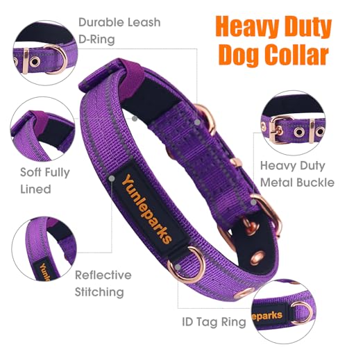 Neoprene Padded Dog Collar, Nylon Collar for Small to Large Dogs, Heavy Duty with Metal Buckle, Reflective(Large, Purple) - color: Purple, size: Large (Pack of 1)