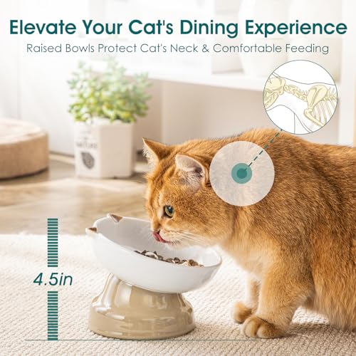 vancasso Raised Slow Feeder Cat Bowls, Ceramic Elevated Cat Bowls Wet Food, Cats Food Bowl Slow Feeder for Indoor Cats (Brown) - color: Brown