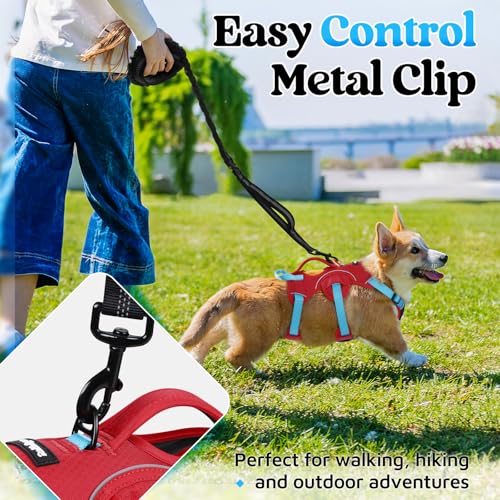 rabbitgoo Escape Proof Dog Harness Large Dogs, Soft Padded Full Body Pet Harness, Reflective Adjustable No Pull Vest with Lift Handle and Leash Clip for Walking Hiking Training, Blue & Red, S - color: Blue & Red, size: Small (Pack of 1)