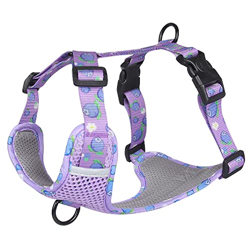 Dog Breathable Harness for Summer, No Pull Adjustable D-Ring Reflective Harness Webbing Walking Harness for Small Meduim Large Dogs(Purple,S) - color: Purple, size: S