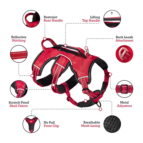 Tuff Pupper Escape Proof No Escape Dog Harness | 5 Point Adjustable Fit Harness for Dogs | Padded Dog Harnesses | Handle Dog Lift Harnesses - color: March Red, size: Large