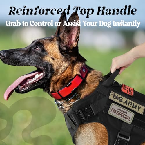 rabbitgoo Tactical Dog Harness Medium Sized, Heavy Duty Pet Harness with Handle, No-Pull Service Vest Medium Breed, Adjustable Military Dog Vest for Training Hunting Walking, Black, M - color: Black, size: Medium
