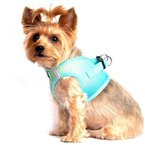 American River Dog Harness Ombre Collection (XS, Aruba Blue) - color: Aruba Blue, size: X-Small
