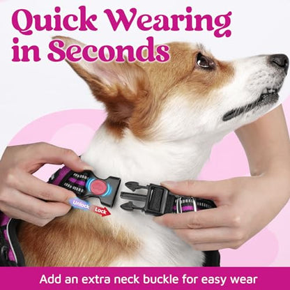 rabbitgoo Dog Harness Small Sized, No Pull Dog Vest with 3 Buckles, Adjustable Soft Padded Pet Harness with Easy Control Handle and Reflective Strips, Purple, S - color: Purple, size: Small
