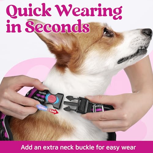rabbitgoo Dog Harness Small Sized, No Pull Dog Vest with 3 Buckles, Adjustable Soft Padded Pet Harness with Easy Control Handle and Reflective Strips, Purple, S - color: Purple, size: Small