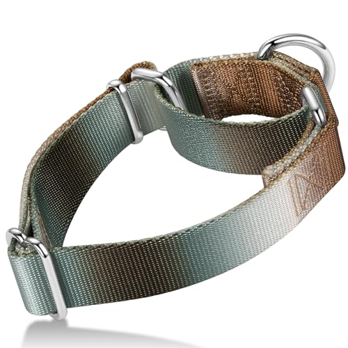 Martingale Dog Collar Colorful Gradient Fashionable - Anti-Escape Soft Durable Pets Collar for Walking Training Outdoor Daily Use -Medium, Silver Brown - color: Silver to Brown Gradient, size: Medium: 14" -21"