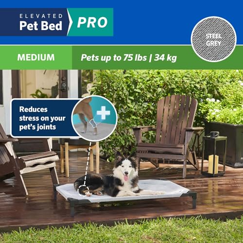 Coolaroo Pro Elevated Dog Bed - Low-Profile Access, Moisture-Resistant Cover, Breathable Fabric & Tool-Free Setup, Steel Gray, Medium - color: Steel Grey, size: Medium