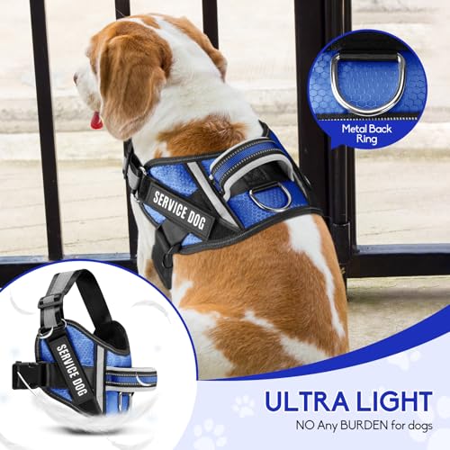 Service Dog Vest Harness and Leash Set, Animire in Training Dog Harness with 10 Dog Patches, Reflective Dog Leash with Soft Padded Handle for Small, Medium, Large, and Extra-Large Dogs (Blue,S) - color: Blue, size: S