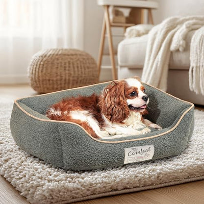 FluffyDream Small Dog Bed, Super Soft Pet Bed Furniture, Suitable for Dogs Up to 30lbs, 24'' x 20'', Sage - color: Sage
