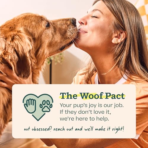 WOOF Pupsicle Refill Pops for Calming - Long-Lasting Refills for the Pupsicle Toy to Promote Calm - Calming Dog Treats - Magnesium for Dogs- Small Pops - 10 Count