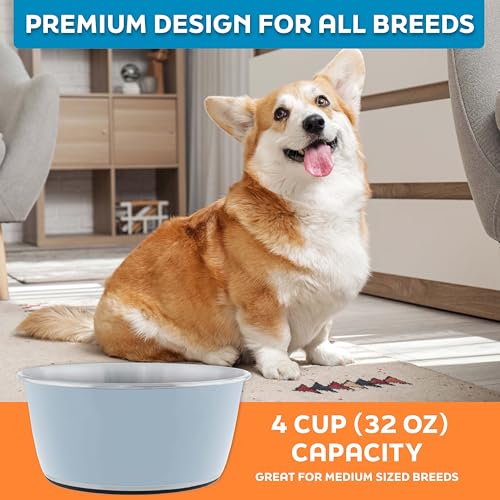 Master Pet Supply Stainless Steel Dog Bowls Set of 2 (32 Oz Each) with Non-Slip Rubber Base - Glacier Blue - Basic Dog Food Bowl Water & Food Bowls for Small Medium Large Dogs & Cats, Metal Dish - color: Glacier Blue, size: 4 Cups (32 oz) 2 Pack