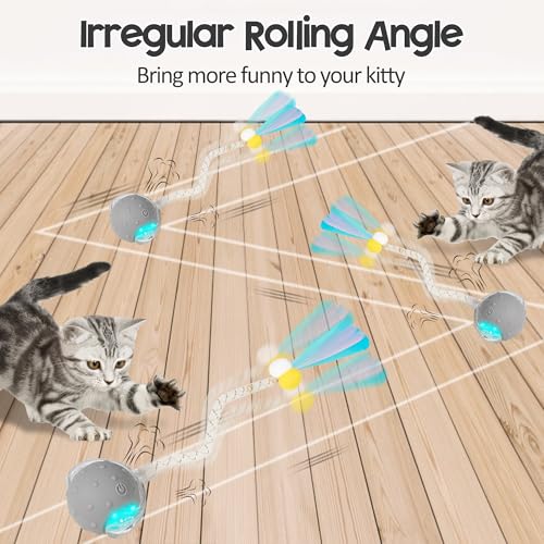 Interactive Cat Toys Ball for Indoor Cats, Automatic Moving Ball Toy with Elastic Mesh Tail, Chirping & Obstacle Avoidance and Motion Activated, Grey【Rechargeable】 - color: Grey