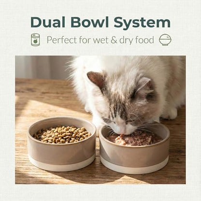 Ceramic Dog and Cat Bowl 2-Pack Non-Slip Weighted Food Water Set for Cats &Small Dogs 13.5OZ Brown - color: Brown – 2 Pack