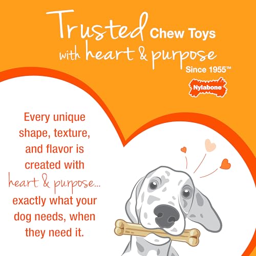 Nylabone Textured Bone Power Chew Toy for Dogs, Durable & Tough Dog Toys for Aggressive Chewers, Beef Jerky Flavor, Medium Dogs - Up to 35 lbs, 1 Count - size: Medium