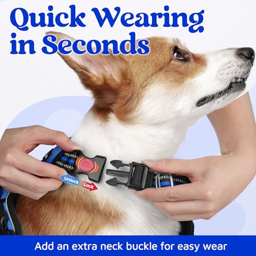 rabbitgoo Dog Harness Small Sized, No Pull Dog Vest with 3 Buckles, Adjustable Soft Padded Pet Harness with Easy Control Handle and Reflective Strips, Royal Blue, S - color: Royal Blue, size: Small