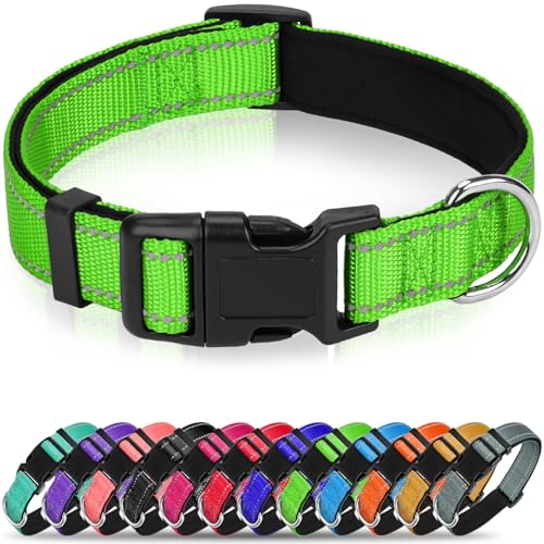 Soft Reflective Dog Collar for Extra Small Dogs, Lightweight Adjustable Puppy Collar with Neoprene Padding, Gentle Nylon for Chihuahua Yorkie,Green,XS - color: Green, size: XS: 5/8"x (8"-11.5")