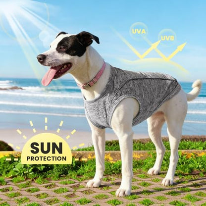 PETCARE Sun Protection Dog Shirts for Small Dogs Quick Dry Soft Stretchy Dog T-Shirts with Reflective Label Tank Top Sleeveless Vest Pet Clothes, Athletic Fabric, Grey, XS (Chest 13" Length 9.8") - color: Grey, size: XS ( Suggest 2-5 lbs)