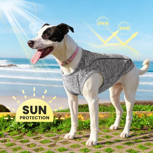 PETCARE Sun Protection Dog Shirts for Small Dogs Quick Dry Soft Stretchy Dog T-Shirts with Reflective Label Tank Top Sleeveless Vest Pet Clothes, Athletic Fabric, Grey, L (Chest 19" Length 15.7") - color: Grey, size: L ( Suggest 13-17 lbs)