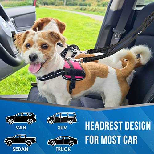 Lukovee Double Dog Seat Belt, New Dual Pet Car Headrest Restraint Safety Seatbelt No Tangle Dog Leash Duty Adjust Elastic Bungee Puppy Lead Splitter Connect Harness in Vehicle Travel for 2 Dogs,Black - color: Black
