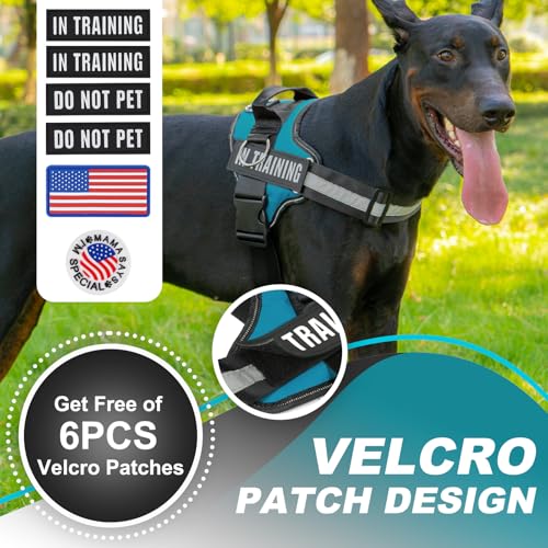 JUSTYEZI Essential Dog Harness with 3 Leash Clips - No-Pull, Adjustable, Comfortable Pet Vest Harness for Small to Large Dogs - Easy On, No Choke, Reflective, Padded Harness for Walking and Training