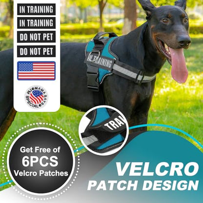 JUSTYEZI Essential Dog Harness with 3 Leash Clips - No-Pull, Adjustable, Comfortable Pet Vest Harness for Small to Large Dogs - Easy On, No Choke, Reflective, Padded Harness for Walking and Training