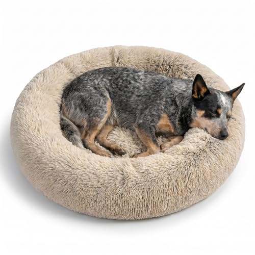 Best Friends by Sheri The Original Calming Donut Dog Bed for Medium Dogs up to 45 lbs, Shag Faux Fur, Taupe, Medium, 30" x 30" - color: Taupe Shag, size: Medium