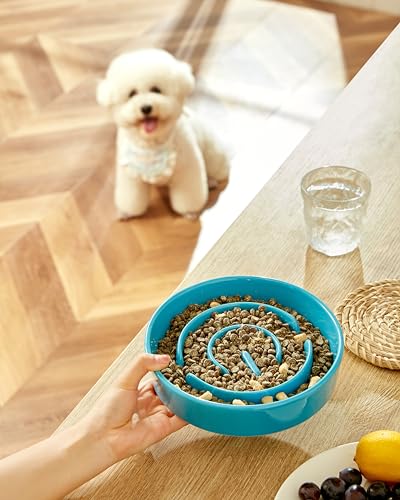 Ceramic Slow Feeder Dog Bowls, 2.0 Cups Slow Feeder for Medium Dogs, Puzzle Maze Bowl to Slow Down Eating, 30oz, 8in, Blue - color: Blue, size: 8 Inches