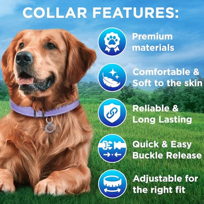 TECEUM Reflective Dog Collar – Lavender – XXS – Extra Soft Padding – Basic Nylon Pet Collar – Quick Release Buckle – Fits Small, Medium and Large Dogs, Puppies, Cats – ESA & Service Dog Options - color: Lavender, size: XX-Small