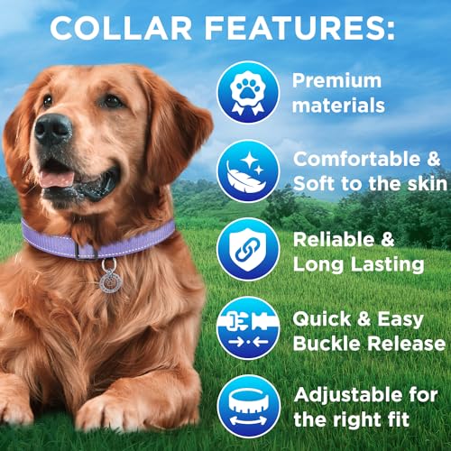 TECEUM Reflective Dog Collar – Lavender – XS – Extra Soft Padding – Basic Nylon Pet Collar – Quick Release Buckle – Fits Small, Medium and Large Dogs, Puppies, Cats – ESA & Service Dog Options - color: Lavender, size: X-Small