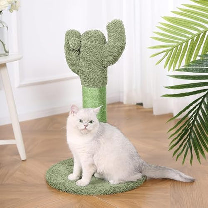 Amazon Basics Cat Scratching Post, Indoor Cactus with Natural Sisal for Kittens with Dangling Ball Toy, Medium, 25.6"H, Green - size: Medium - 25.6" H