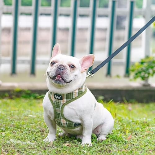 PUPTECK Soft Mesh Dog Harness and Leash Set Pet Puppy Cat Comfort Padded Vest No Pull Harnesses, Olive Green, XS - color: Olive Green, size: XS (NECK: 10", CHEST: 10"-14")