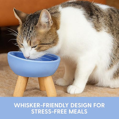 The Cat Ladies Tilted Ceramic Cat Bowl - Elevated Food Bowls Ceramic Pet Bowl - Raised Ceramics Bowls - Elevated & Tilted Design for Comfortable Eating - Dishwasher Safe - Wide Opening - color: Powder Blue