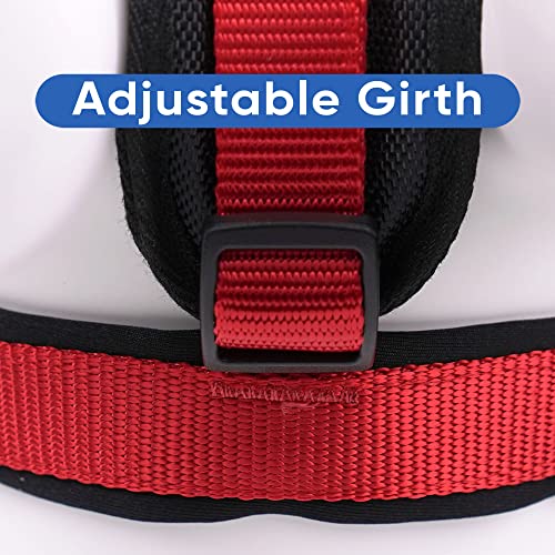 Pawtitas Reflective Padded Dog Harness for Small Dogs – Adjustable Puppy Step-in Vest | Fits Chest 18–22 in | No Pull Personalized Training Harness | S | Red - color: Red, size: Personalized Small (Pack of 1)