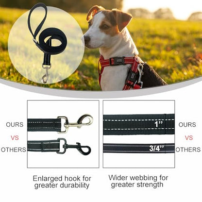 Dual Padded Handle Standard Dog Leashes with Reflective Stitching,360° Rotatable Heavy Duty Metal Buckle,D-Ring,Durable Nylon,for Medium Sized Dogs from 20 to 60 Pounds Walking and Training Black 5Ft - color: Black, size: 5Ft