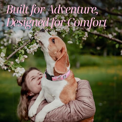 Girl Dog Collar, Pink Cute Cherry Print Reflective Padded Collar with Soft Neoprene, Adjustable Lightweight Pet Collar for Small Dogs, Puppies,Neck Size 9’’-14’’ (Cherry, S) - color: Cherry, size: S (Neck 9''– 14'')