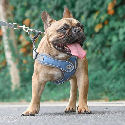 Puppy Harness and Leash Set,No Pull Adjustable Step in Soft Mesh Vest Harness,Easy Walk Reflective Pet Harness with Padded Handle for Walking Training Small Medium Large Dogs and Cats (Blue, XS) - color: Blue, size: XS