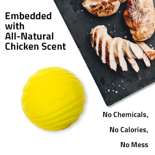 Playology Dog Toys | Dual Layer Ball Durable Chew Toy for Tough Chewers | Chicken Scented Jumbo Dog Toy | Chew Toys for Large Dogs - size: Jumbo, style: Chicken