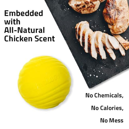 Playology Dog Toys | Dual Layer Ball Durable Chew Toy for Tough Chewers | Chicken Scented Jumbo Dog Toy | Chew Toys for Large Dogs - size: Jumbo, style: Chicken