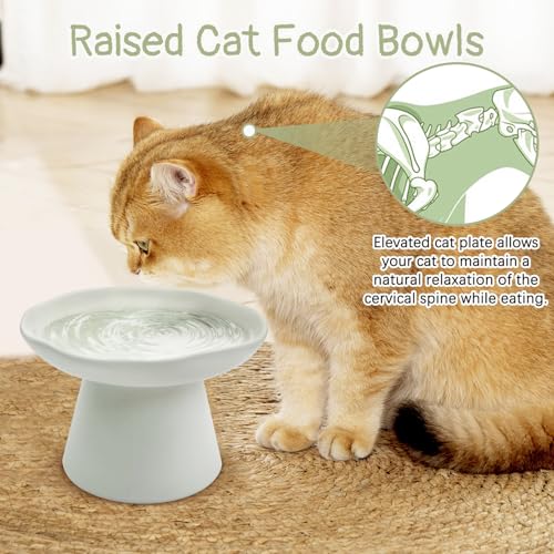 VCEPJH Raised Cat Food Bowls Shallow Cat Plate Ceramic Elevated Cats Dish 6.1in Flat Anti Whisker Fatigue Wide Pet Food & Water Feeder for Indoor Kitty Kitten (White) - color: white