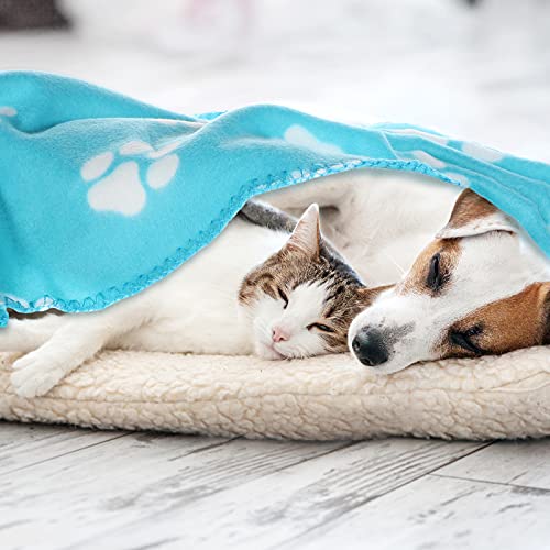 Tatuo 15 Pieces Puppy Blanket Cute Dog Cat Bed Sleep Mat Pad Cover Double Sided Velvet Fabrics Soft Printed Pet Blanket for Kitten and Other Small Animals 15 Colors (Paw Print Patterns)