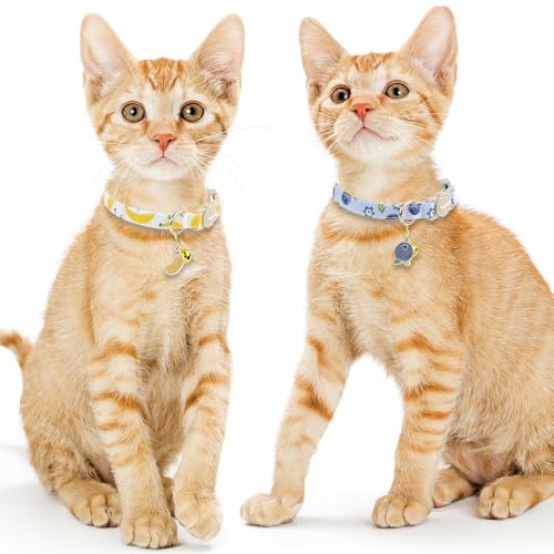 Faygarsle 2 Pack Blueberry Banana Pattern Cat Collars Breakaway Safety Collar with Bell Spring Summer Design for Girl Cats,Yellow Light Blue - color: Blueberry&banana