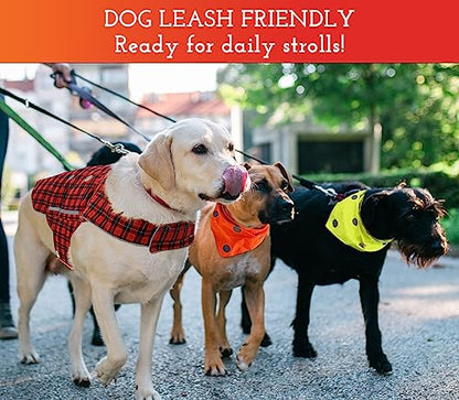 SPOT THE DOG! Reflective Dog Vest - High Visibility Safety Dog Accessories, Fluorescent Dog Apparel for Walking, Hiking & Camping, Hunting (Blaze Orange, Small) - size: Small