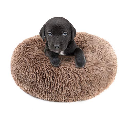 otoez Kitten Puppy Bed Extra Small XS Round Dog Cat Beds Anti Anxiety Plush Pet Calming Donut Bed with Non-Slip Waterproof Bottom, Washable (15.7", Khaki) - color: Khaki, size: 15.7"