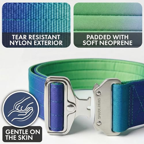 Spark Paws Tactical Dog Collar - Heavy Duty, Premium Quality, Thick and Durable for Large and Medium Dogs - Lime Wave - XS - 1" - color: Lime Wave, size: XS: 14"-19" [1" wide]