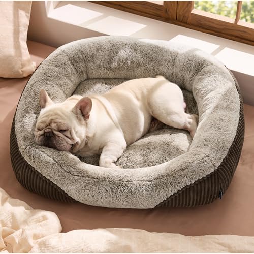 Bedsure Washable Dog Bed Medium Size Dog - Rectangle Fluffy Plush Big Pet Bed, Corduroy Fleece and Nonskid Bottom,30x24x8inches,Suitable for Pet Up to 35lbs,Brown - color: Brown, size: 30"L x 24"W x 8"Th